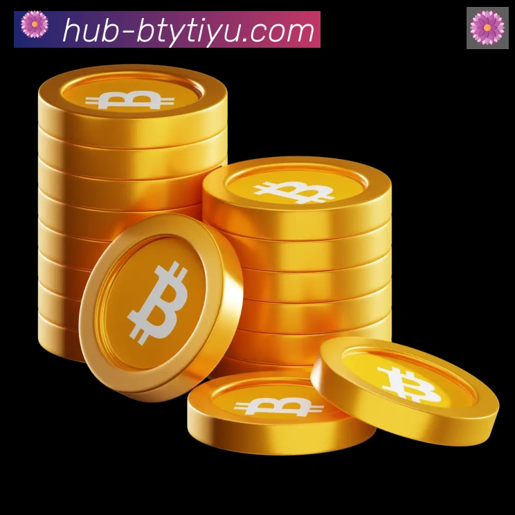 必一体育官网服务体系